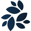 Asset Icon